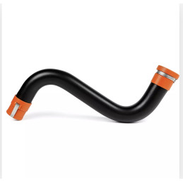 ADAPTOR S (GAT DE LEBADA)...