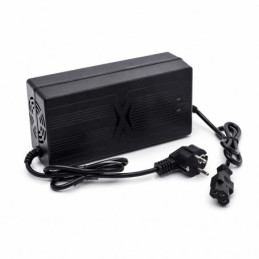 INCARCATOR INTELIGENT 60V...