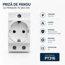 PRIZA SINA DIN DE PANOU...