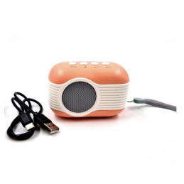 RADIO WSTER WS - 315