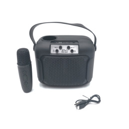 RADIO BOXA ZQS 1490W